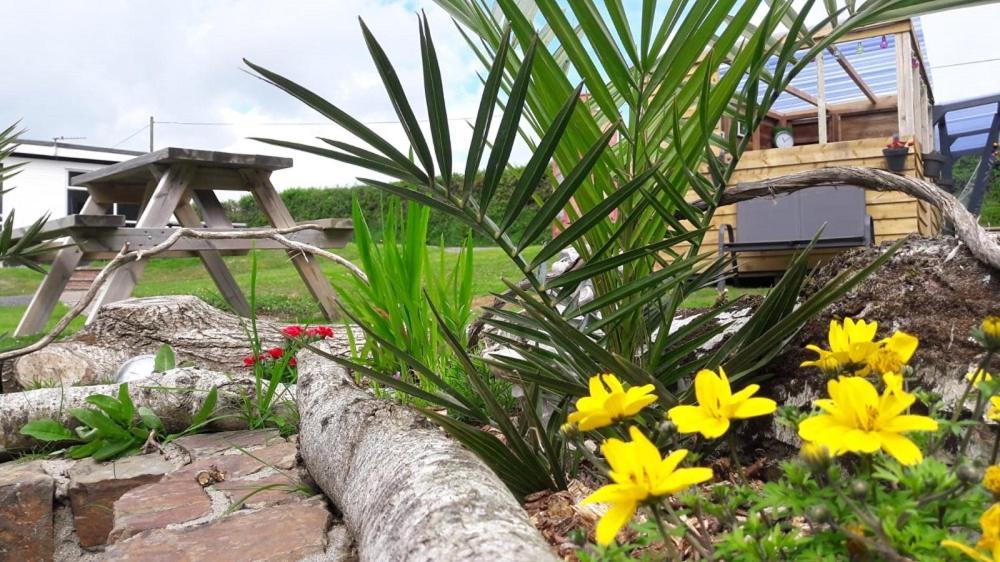 Greenways Valley Holiday Park Great Torrington Zewnętrze zdjęcie