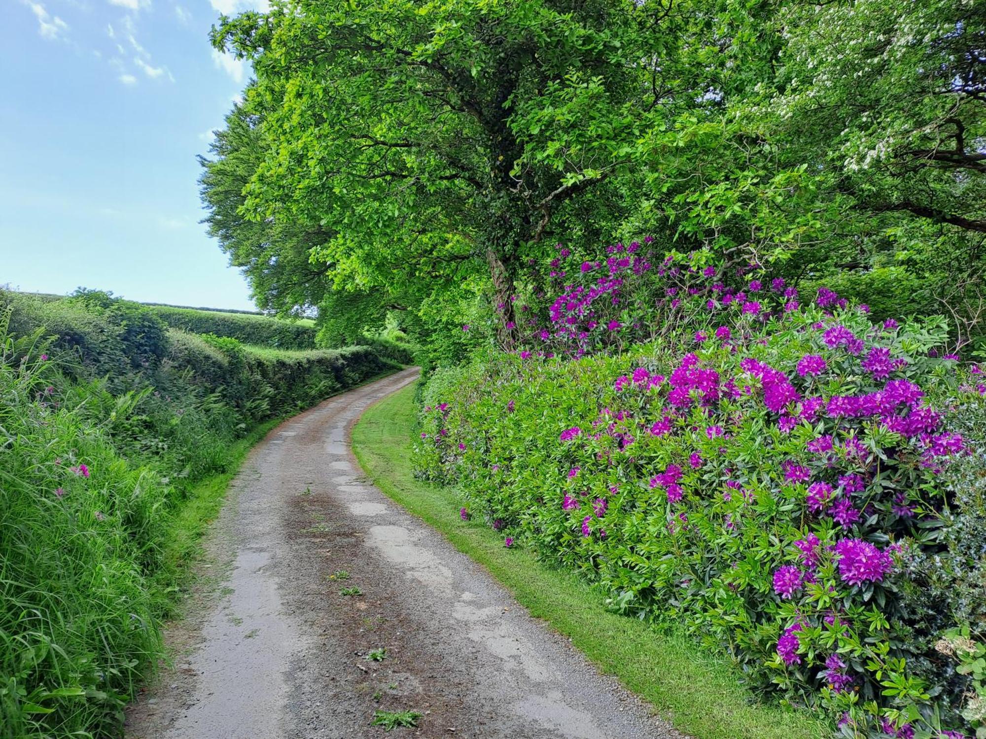 Greenways Valley Holiday Park Great Torrington Zewnętrze zdjęcie